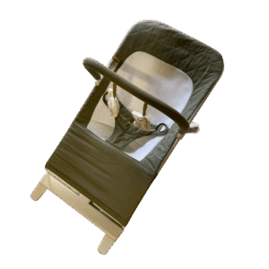 Baby Delight Alpine Deluxe Portable Bouncer
